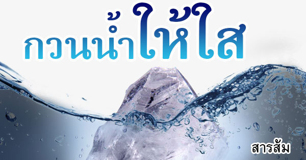 โกงสนามกีฬา?