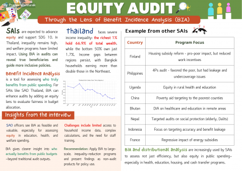 Equity Audit Through the Lens of Benefit Incidence Analysis