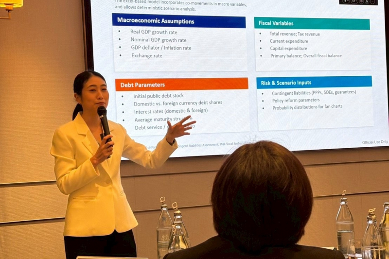 การสัมมนาวิชาการ World Bank & SAO Seminar Series ครั้งที่ 1 หัวข้อ: การตรวจสอบความยั่งยืนของหนี้สาธารณะ (Public Debt Sustainabil
