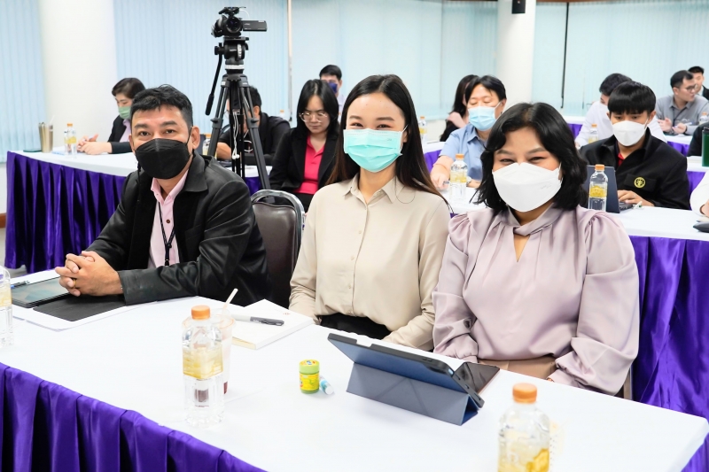 การตรวจสอบโครงการขนาดใหญ่