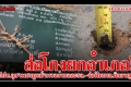 ตำบล 5 ล.กินอื้อ ป.ป.ท.ไล่เช็กบิลขู่ฟันโทษอาญา