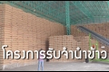 ล่า ขรก.รับผิดร่วม 'ปู' ชดใช้ค่าเสียหายจำนำข้าว